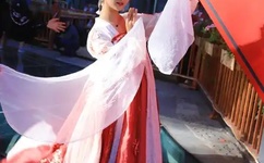 陆贞传奇多少集啊